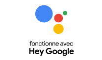 Google Assistance